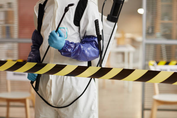 Professional Sewage Cleanup technician working in Bridgewater, MA